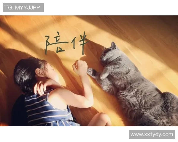 球员赛前减压的秘密武器：宠物陪伴带来的心理安慰与放松